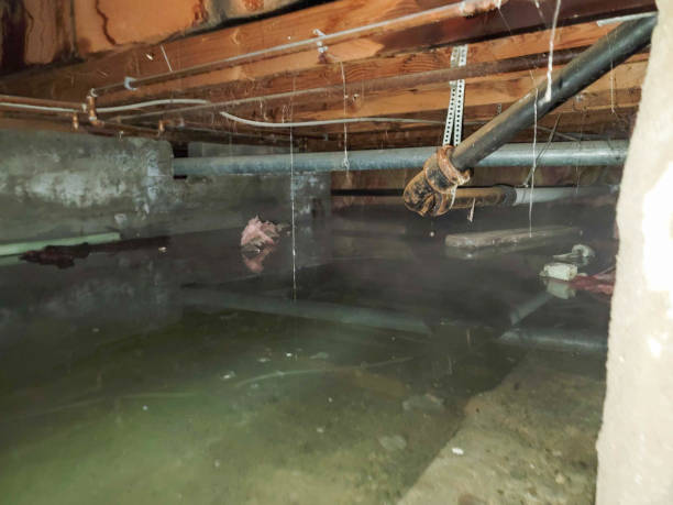 Water damage restoration experts in Liberty, UT