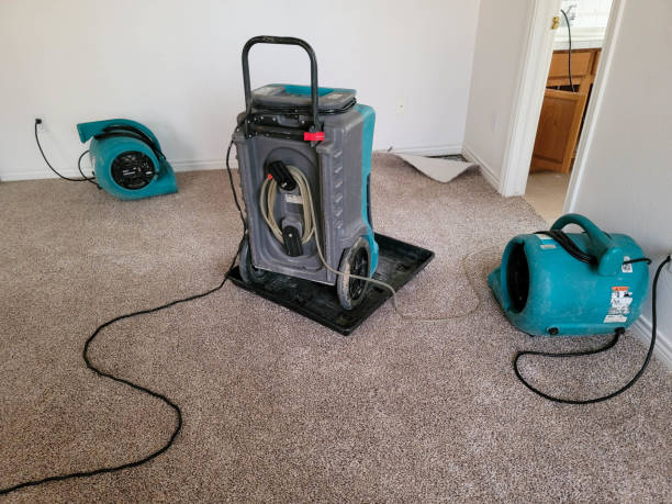 Best Commercial water damage restoration  in Liberty, UT