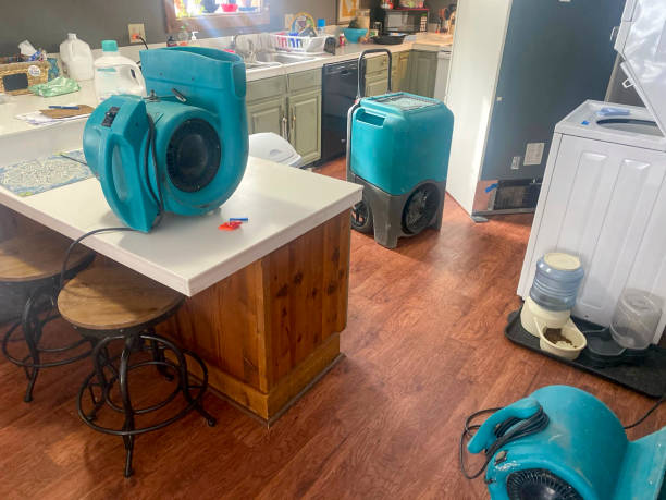 Best Residential water damage restoration  in Liberty, UT