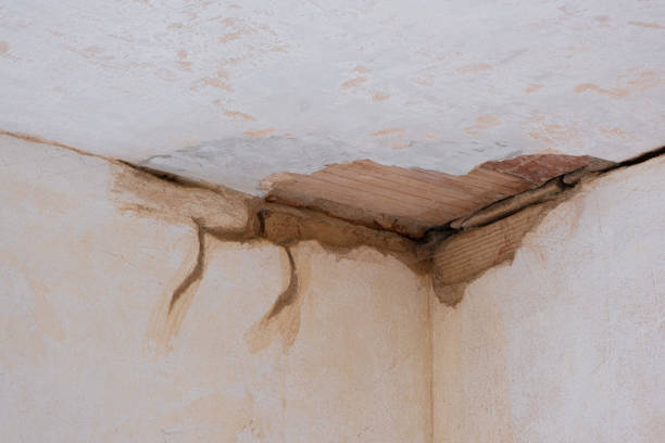 Best Water damage restoration experts  in Liberty, UT