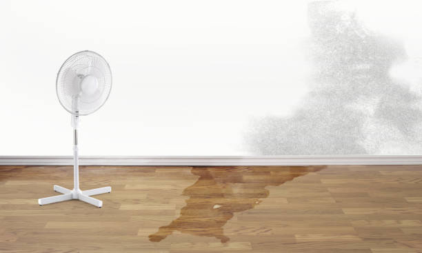 Best Water damage restoration services  in Liberty, UT