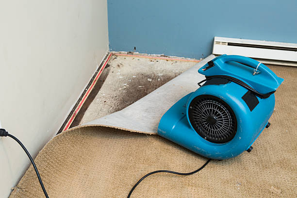 Best Water damage restoration near me  in Liberty, UT